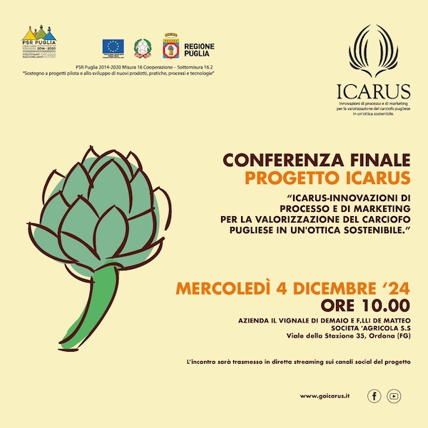 Conferenza finale progetto ICARUS